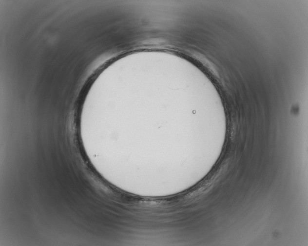 X0000116671458201001111301