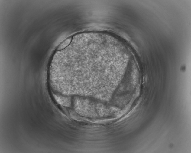 X0000116671459201001111301