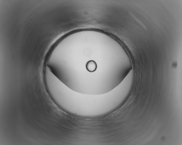 X0000116671460201001111301