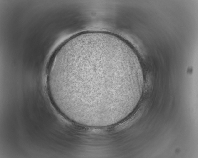 X0000116671462201001111301