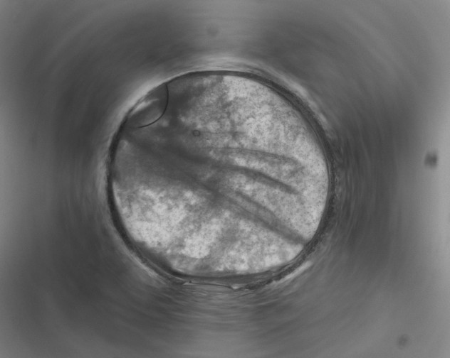 X0000116671463201001111301