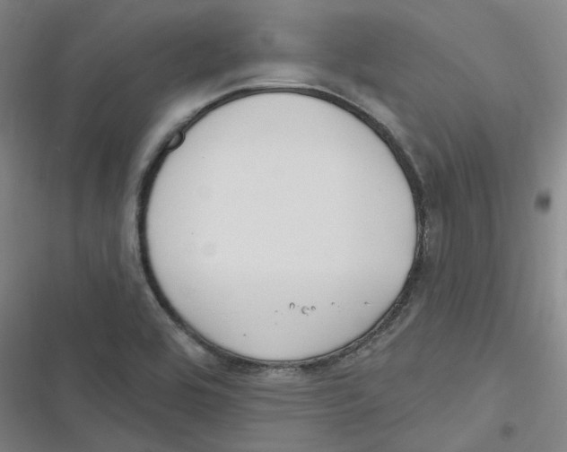 X0000116671464201001111301