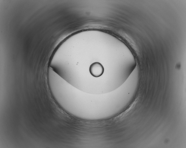 X0000116671465201001111301