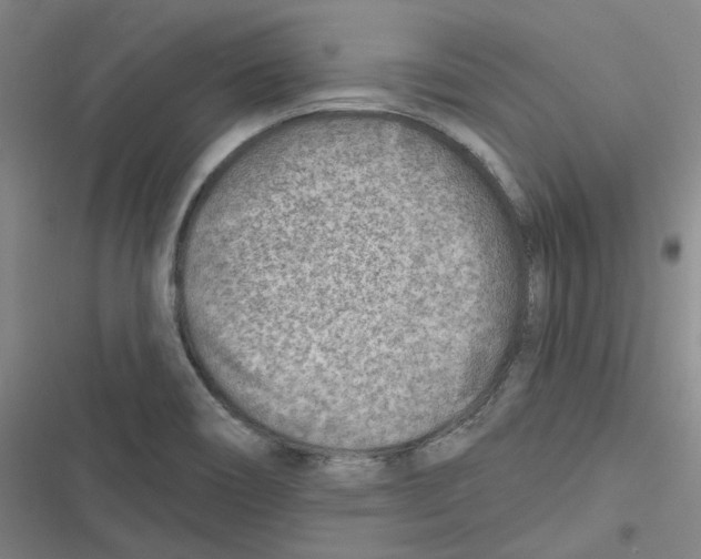 X0000116671466201001111301