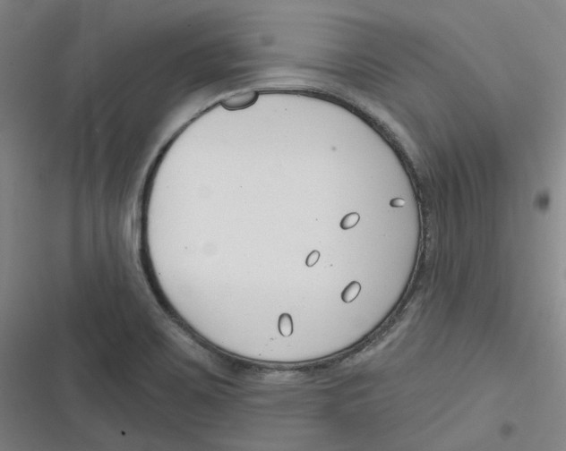 X0000116671467201001111301