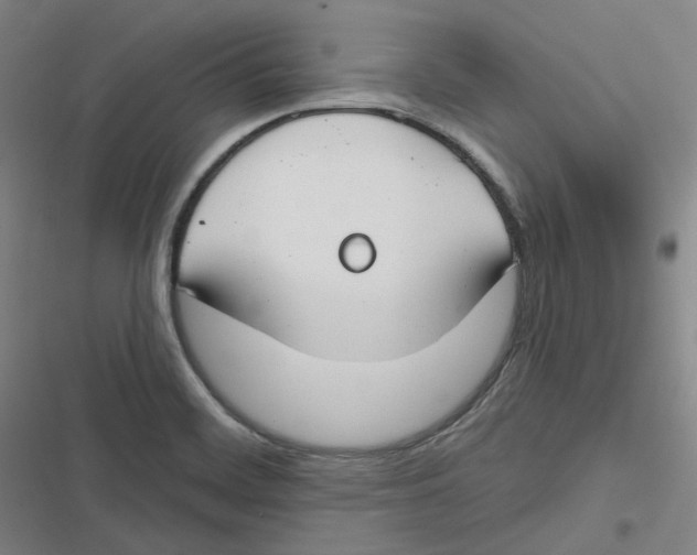 X0000116671468201001111301