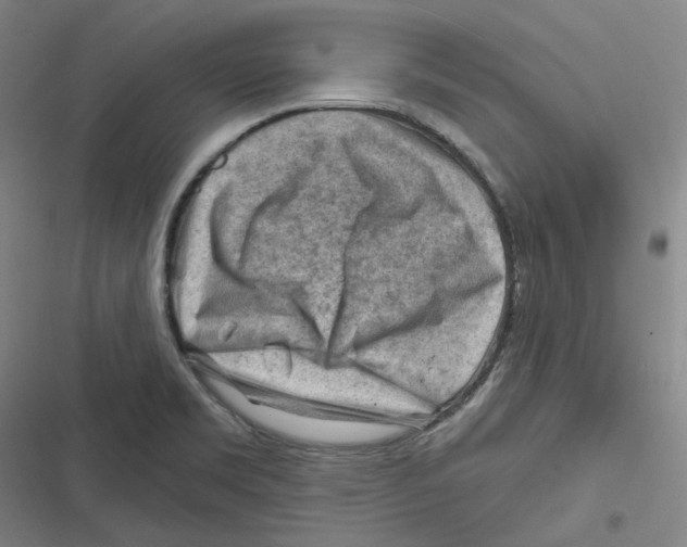 X0000116671469201001111300