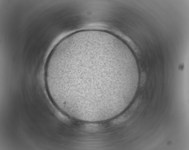 X0000116671470201001111300