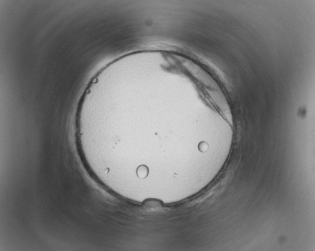 X0000116671471201001111300