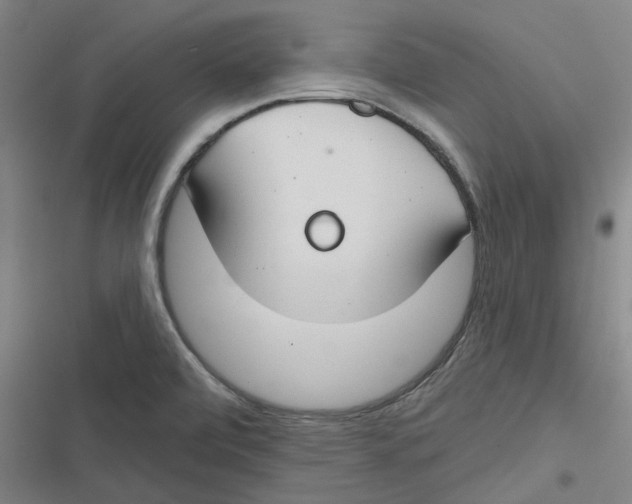 X0000116671472201001111300