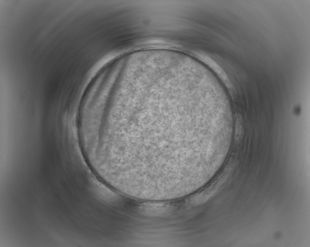 X0000116671474201001111300