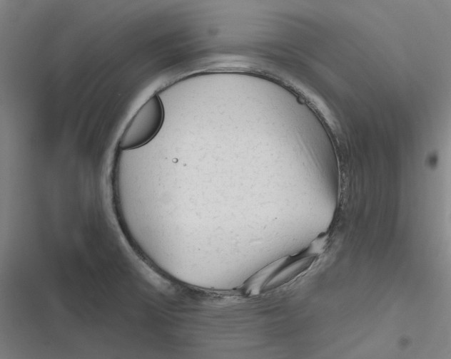 X0000116671475201001111300