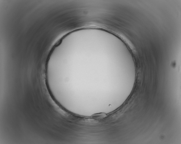 X0000116671476201001111300