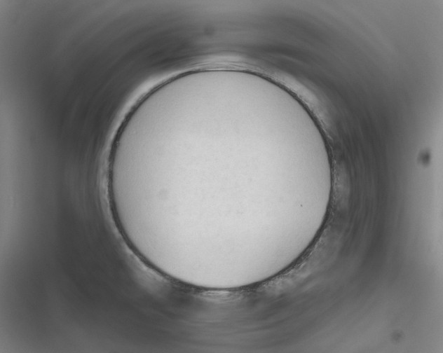 X0000116671478201001111300