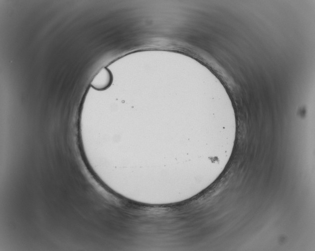 X0000116671479201001111300