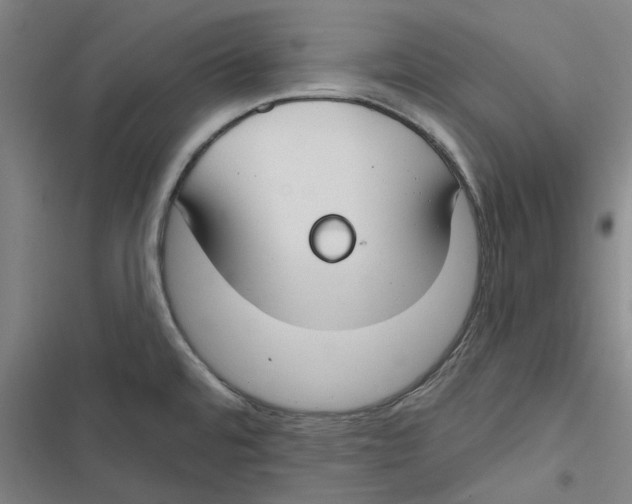 X0000116671480201001111300