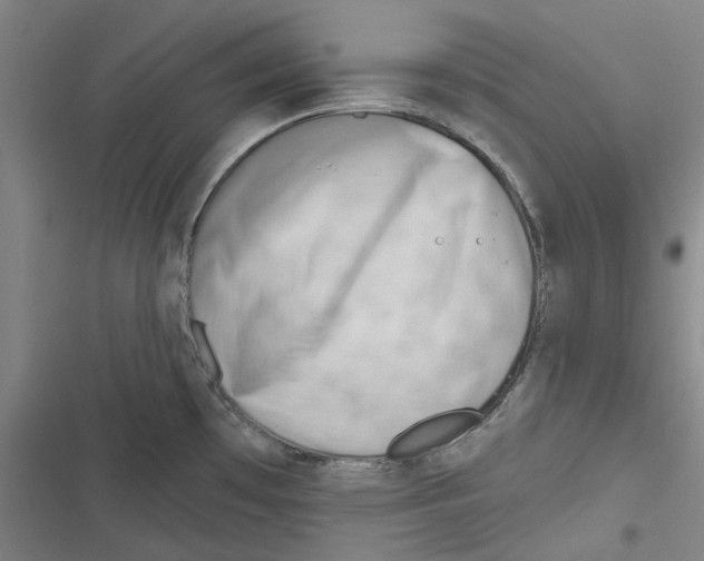 X0000116671481201001111300