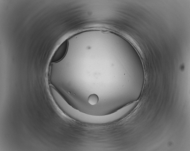 X0000116671482201001111300