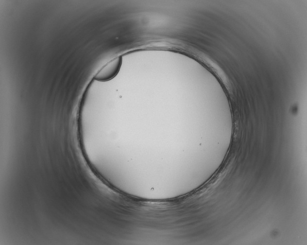 X0000116671483201001111300