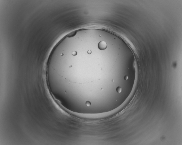 X0000116671484201001111300