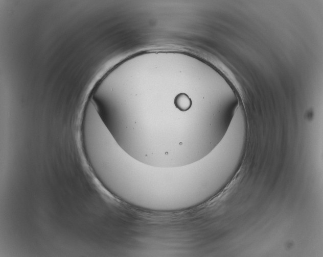 X0000116671485201001111300