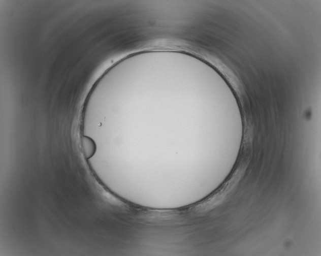 X0000116671486201001111300