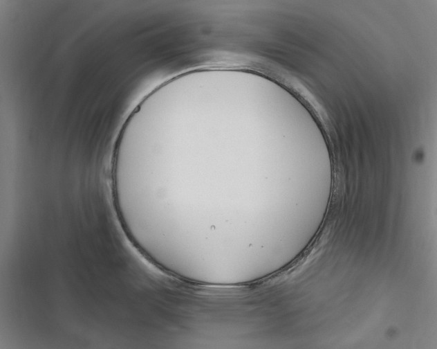 X0000116671487201001111300