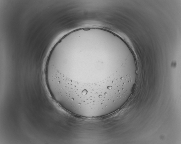 X0000116671488201001111300