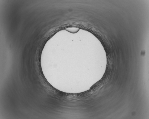 X0000116671489201001111300