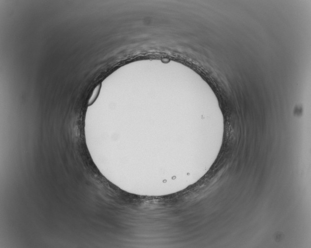 X0000116671490201001111300