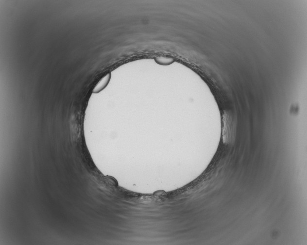 X0000116671491201001111300