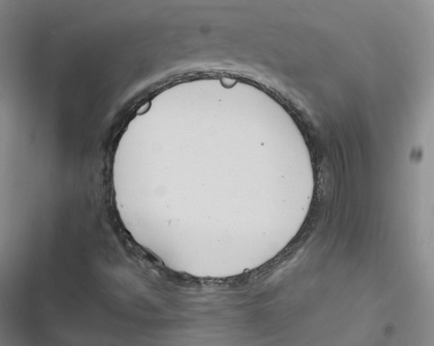 X0000116671494201001111300