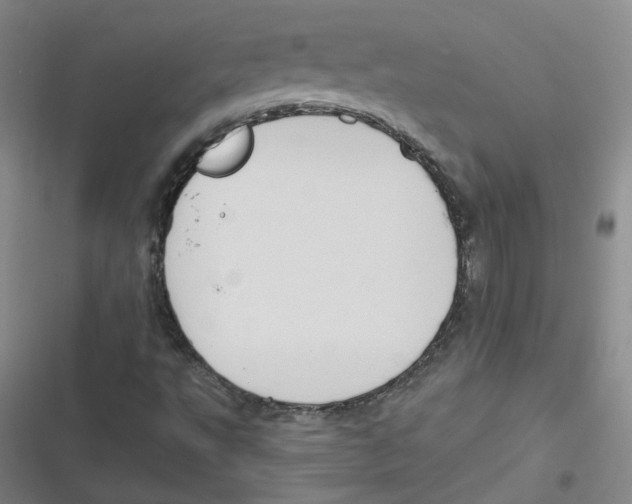 X0000116671495201001111300