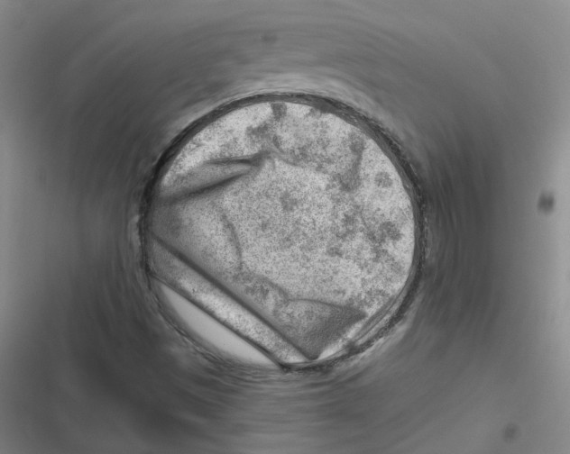 X0000116671497201001111300