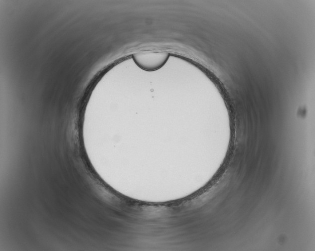 X0000116671498201001111300