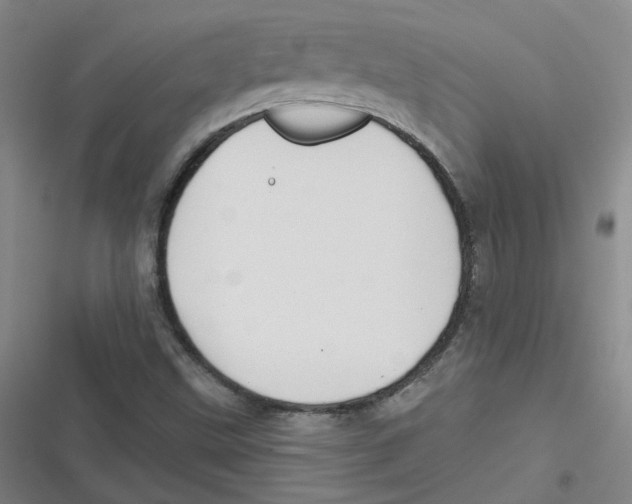 X0000116671499201001111300