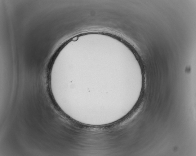 X0000116671501201001111300