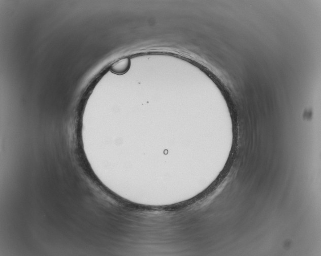 X0000116671502201001111300