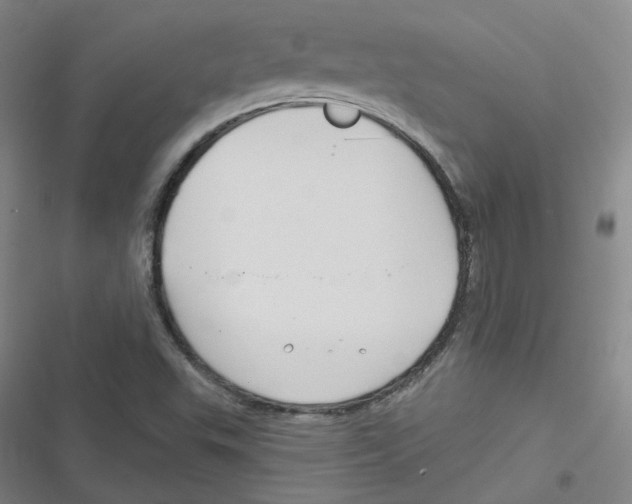 X0000116671503201001111300