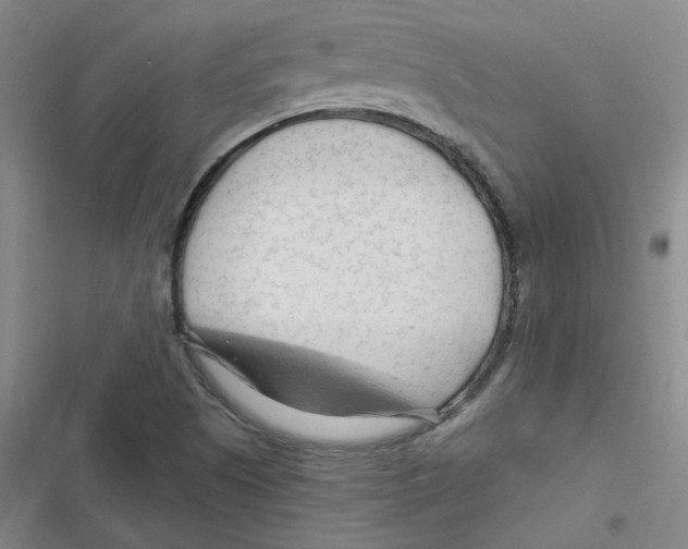 X0000116671505201001111300