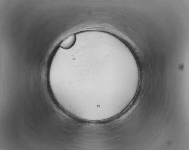 X0000116671506201001111300