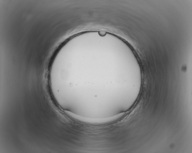 X0000116671507201001111300