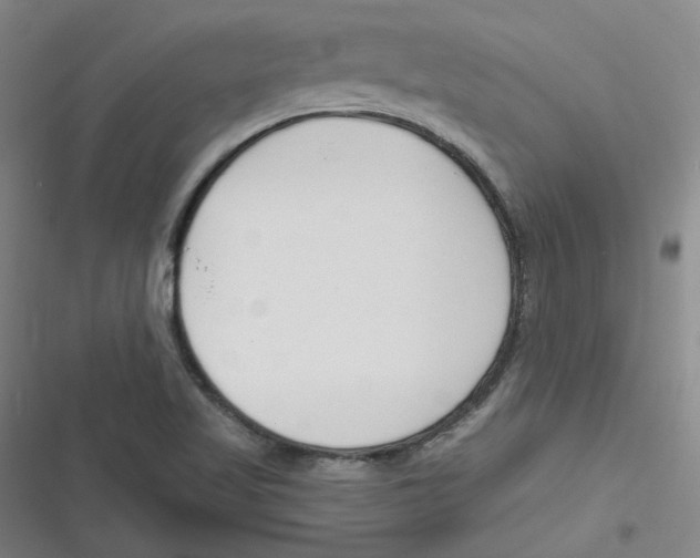 X0000116671509201001111300