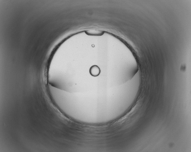 X0000116671510201001111300