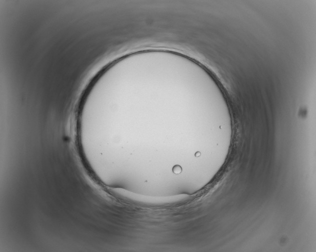 X0000116671511201001111300