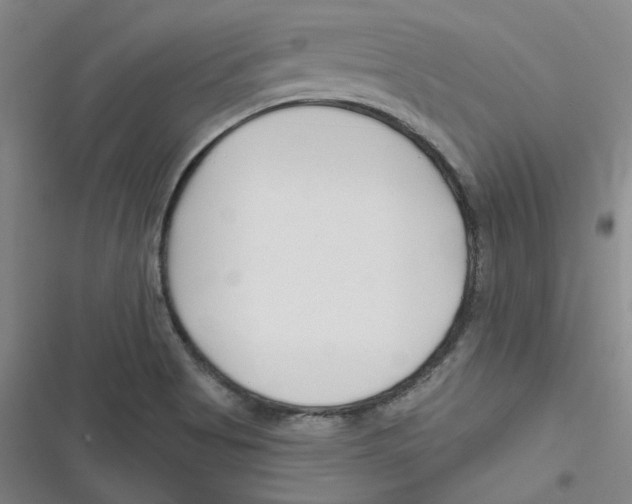 X0000116671513201001111300