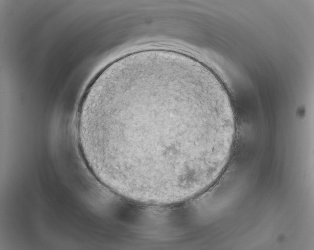 X0000116671514201001111300