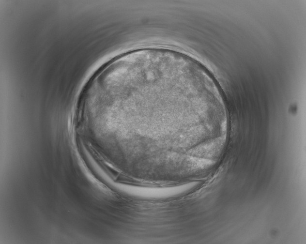 X0000116671515201001111300