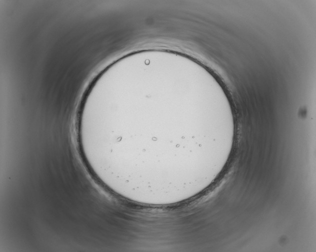 X0000116671517201001111300