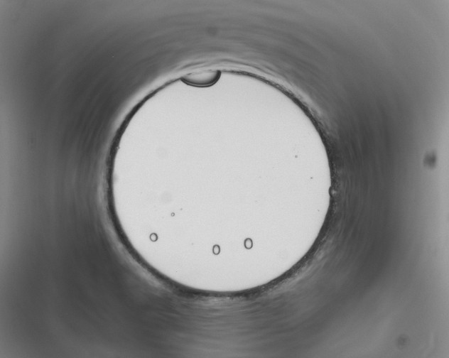 X0000116671518201001111300